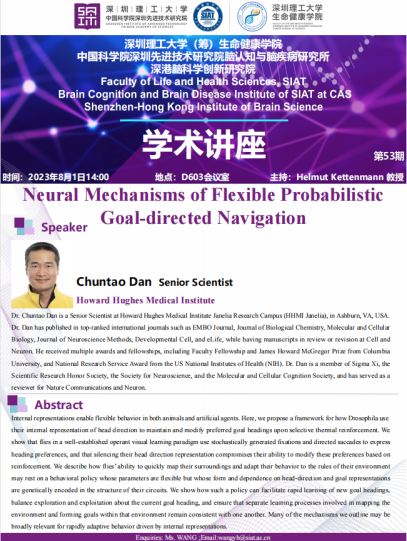 Neural Mechanisms of Flexible Probabilistic Goal-directed Navigation